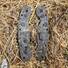 Spyderco Military maple handle scales - Barn Mistery by Artur Soikkeli