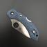 Spyderco Dragonfly 2 Micarta Bluejeans handle scales - Traditional / hand-painted