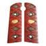 Hudson H9 maple grips - Katana Red Gold Coin / hand-painted