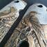 Kimber Micro 380 Maple Grips - Moon Raven / Hand-painted