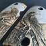 Kimber Micro 9 Maple Grips - Moon Raven / Hand-painted