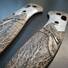 Moon Raven - Benchmade Griptilian 550, 551 Knife Scales by Svechnikov Knives