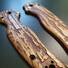 Roughness Bronze Walnut - Spyderco Shaman Knife Scales by Svechnikov Knives